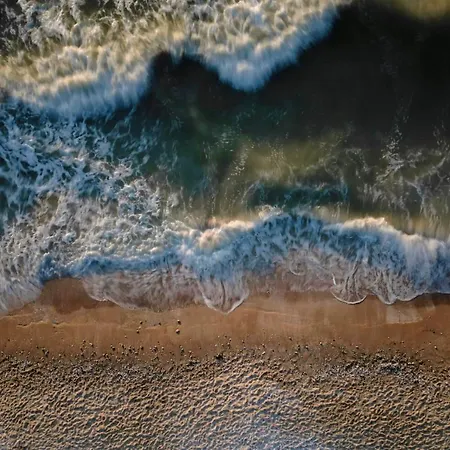 Les Tamaris - With Sea View -