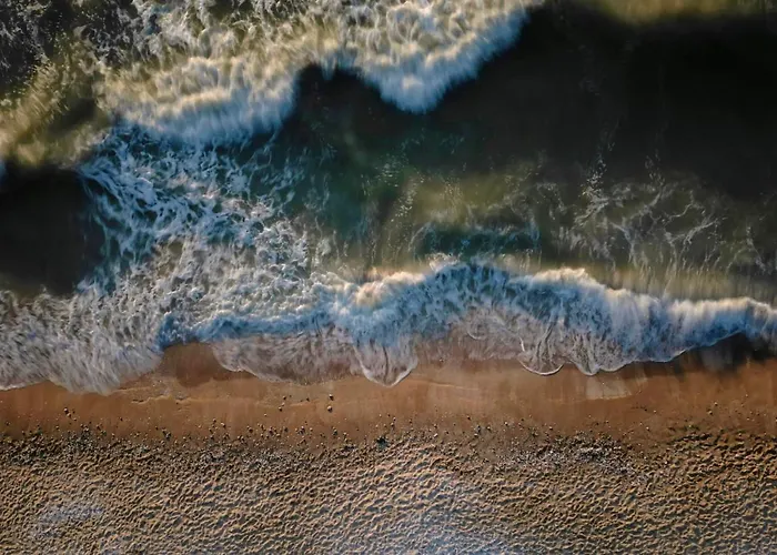 Les Tamaris - With Sea View -